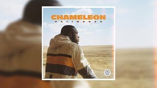 Daliwonga – Chameleon full album  2020 Amapiano [upl. by Airtap]