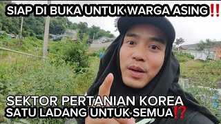 🔴SEKTOR PERTANIAN DI KOREA SEPERTI INI GAMBARANNYA⁉️ [upl. by Almire]