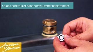 How to Replace the Hand Spray Diverter for your Colony Soft Faucet [upl. by Iidnarb118]