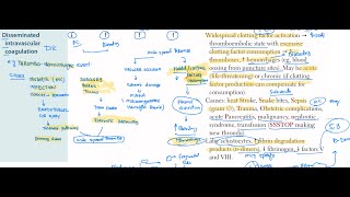 DIC  Disseminated intravascular coagulation haematology 67 First Aid USMLE Step 1 in UrduHindi [upl. by Annyahs]