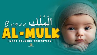 Surah Mulk سورة الملك Most Beautiful Recitation  Peaceful quran [upl. by Jerad289]