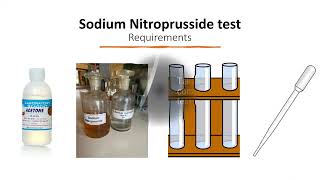 Functional Group test Sodium Nitroprusside Test for Ketone [upl. by Artinek]