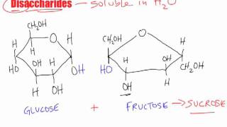 Bio B2  Disaccharide Macromolecules [upl. by Albertson]