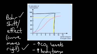 Oxyhaemoglobin Dissociation Curve [upl. by Eiramanitsirhc]