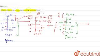 Glucose Mannose and fructosegive identical osazones Explain [upl. by Suzette493]