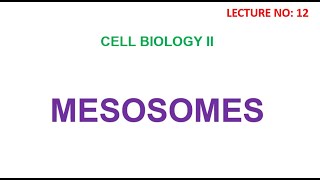 MESOSOMES  cell biology lecture [upl. by Haidadej]