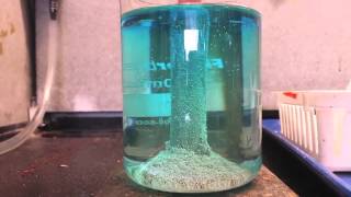 Silver Production from Silver Nitrate using a Copper Pipe [upl. by Keiko893]