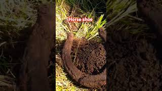 Horseshoe seeded huntRhode Island  EVENT fun metaldetecting maine nokta legend mdf 1800s [upl. by Cranston]