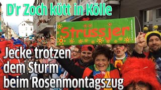 Kölner Rosenmontagszug 2019 Jecke trotzen dem Sturm [upl. by Graham863]