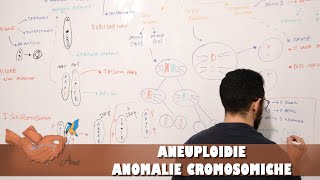 Aneuploidie ed anomalie cromosomiche [upl. by Hearsh701]