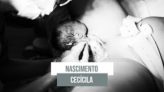 Nascimento Cecília [upl. by Honna]