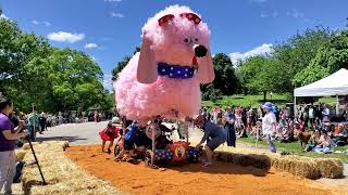 Baltimore Kinetic Sculpture Race 2023 [upl. by Lapham]