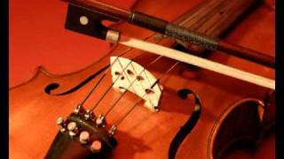 HUMMEL Concerto for Piano and Violin Op 17  Violin Concerto  part 1 [upl. by Anyat916]