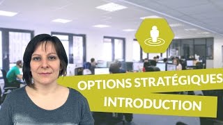 Les options stratégiques  introduction  Management  digiSchool [upl. by Haleigh115]