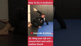 How To Do A Guillotine From Guard shorts [upl. by Kingsbury771]