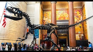 New York City Walking Tour American Museum of Natural History 2021 [upl. by Ozan]