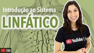 Sistema Linfático 14 Introdução  Anatomia e etc [upl. by Cleve102]