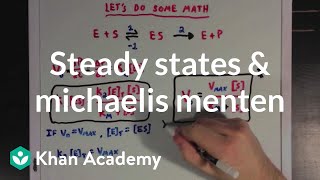 Steady states and the Michaelis Menten equation  Biomolecules  MCAT  Khan Academy [upl. by Arlie]