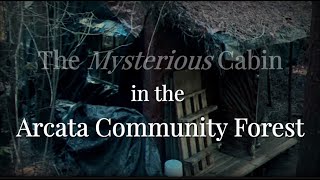 The Mysterious Cabin in the Arcata Community Forest  A Preview [upl. by Tsenrae510]