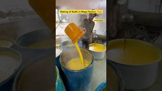 Unseen Bulk Preparation of Kadhi in Mega Factory recipe making food [upl. by Ahsimrac]