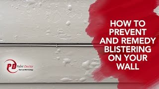 How to Prevent and Remedy Blistering on Your Wall  PaintDoctor Ep12 [upl. by Broeder]