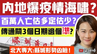 內地爆疫情海嘯？百萬人亡估多定估少？傳通關3個日期邊個準？北大專家：縣城形勢凶險！｜梁翊婷 Edith 221222 [upl. by Musette81]