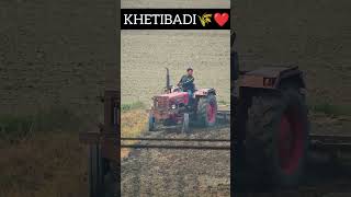 Kheti badi Kam he apna  Powartrak Euro 50 tractor status  shortstractorkhetibadikhetifarmer [upl. by Gaudet]