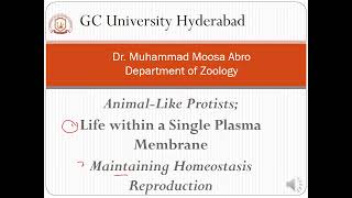 Protozoa Life within a Single Plasma Membrane Maintaining Homeostasis and Reproduction [upl. by Mckee1]