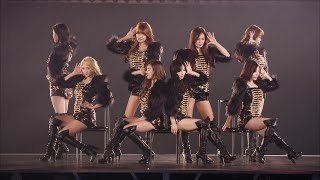 DVD Girls Generation 소녀시대  GENIE JPN Ver The Best live at TOKYO DOME [upl. by Veta660]