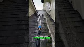 Soft Washing a Roof in 15 Seconds Easy Guide [upl. by Ushijima]