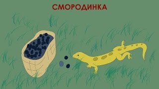 Смородинка аудиосказка для детей [upl. by Enilra360]