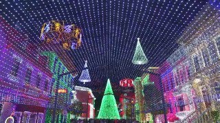 Osborne Family Spectacle of Dancing Lights  A Mad Russians Christmas [upl. by Benjy]