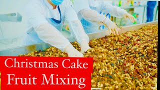 Christmas Cake Fruit Mixing  Soaking the Dry Fruits BIG Christmas Fruitcake  christmascake [upl. by Nunci]