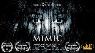 MIMIC Horror Short Film [upl. by Aicela]