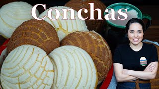 THE BEST TRADITIONAL Mexican CONCHAS  Mexican SWEET BREAD recipe  PAN DULCE recipe [upl. by Adnolat]