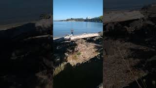 Salmon Fishing Waldport Oregon Alsea Bay [upl. by Mickey]