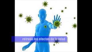 Suplemento RESVERATROL  Beneficios [upl. by Dickson]