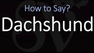 How to Pronounce Dachshund CORRECTLY Badger Dog name Pronunciation [upl. by Suravat]