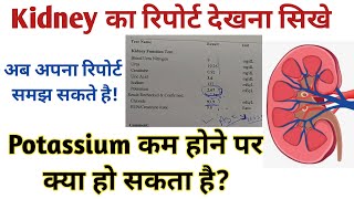 Kidney report  kft test report in hindi  kidney report kaise check kare [upl. by Zelma]