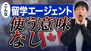 【騙されないで】絶対使わない方がいい留学エージェントの特徴を大暴露！ カナダ留学 [upl. by Schilt]