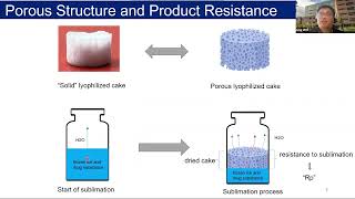 Sensitivity of Lyophilization Rate and Porous Structure to Small Changes in Freezing [upl. by Hilliary975]