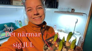 🌸🤶🏻❄️ Klipper palettblad gör julgrupper och njuter av snön [upl. by Arata]