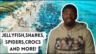 This Is Why They Can’t Swim on Beaches in Australia  American Reacts [upl. by Ordnassela]