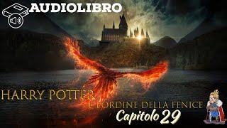 Audiolibro  Harry Potter e lordine della fenice  Lettura e Commento Cap 29 [upl. by Edelman]