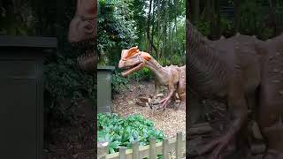 Blackpool Zoo 2024  dinosaur tour [upl. by Aileno162]