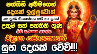 තත්පරයක්වත් පරක්කු නොකර දැන්මම අහන්න🌷🙏 Goddesss Paththini Songs Dewa Katha Paththini Maniyo Song [upl. by Camarata]