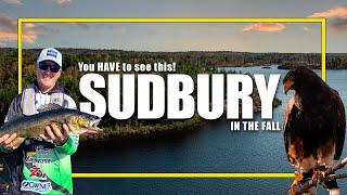 Why You NEED to Travel to Sudbury In The Fall [upl. by Whitaker487]