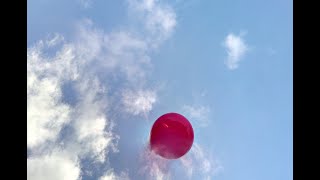 Nena 99 Luftballons Popular Covers [upl. by Anha]