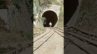 Vande BHARAT Train Himalayan shortvideo shorts short youtubeshorts youtuber train video [upl. by Arimahs]