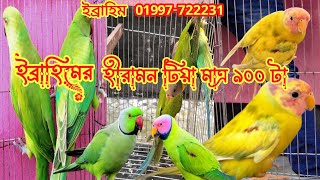 ইব্রাহিমের হীরামন টিয়া মাত্র ৯০০ টাকা l Tia pakhir dambirds [upl. by Ailimaj587]